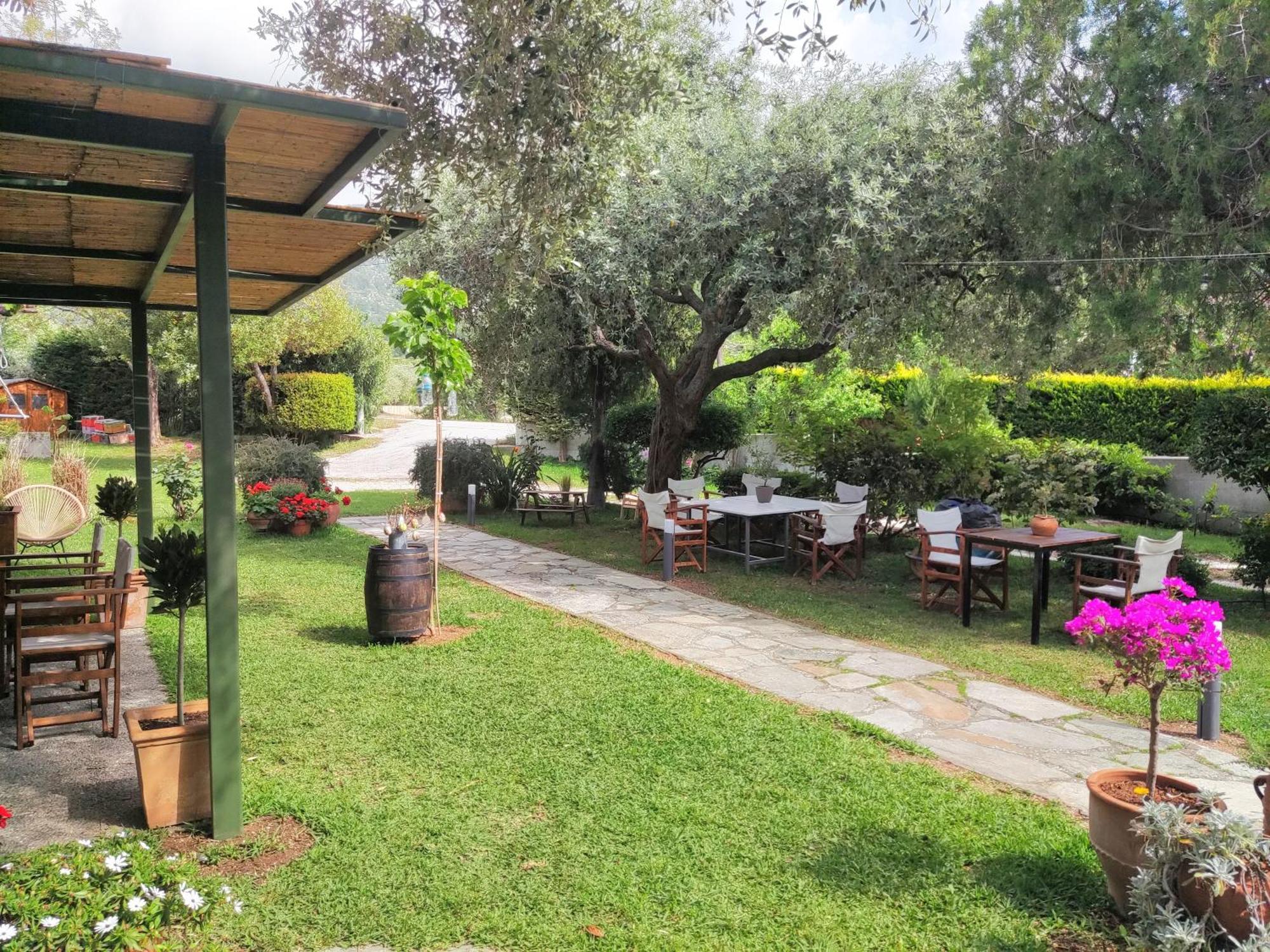 Argiro Studios Skala Rachoni  Exterior foto